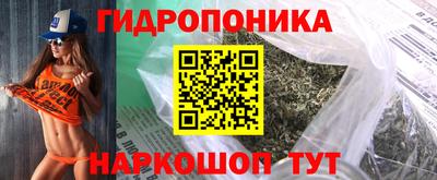 стафф Донской
