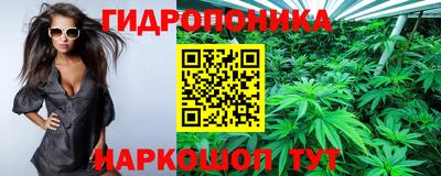 стафф Донской