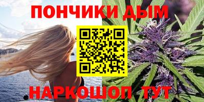 стафф Донской