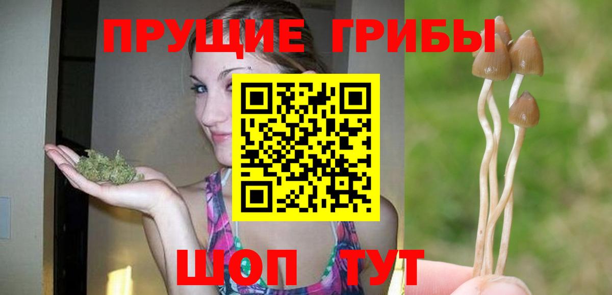 Галлюциногенные грибы MAGIC MUSHROOMS  Галлюциногенные грибы Psilocybine cubensis  Вход с VPN  Лосино-Петровский 