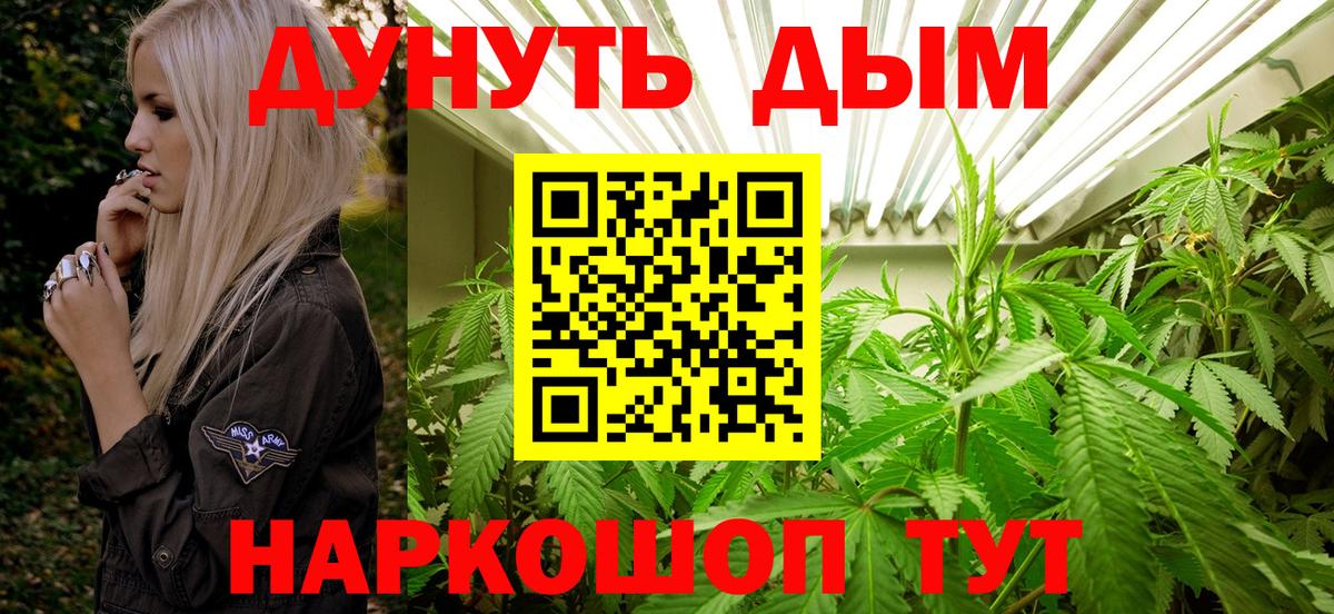 Каннабис семена  Вход с VPN  Бошки Шишки сатива  Лосино-Петровский 